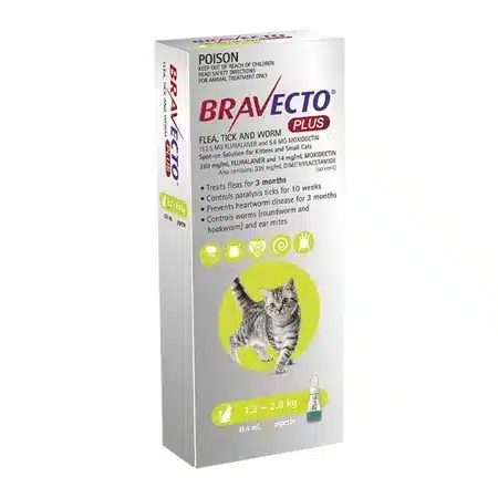 Bravecto Plus For Small Cats  (Green) One