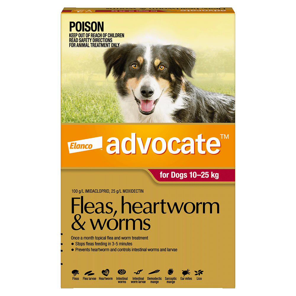 Advocate Large Dog Red - 3 Packs And 6 Packs
