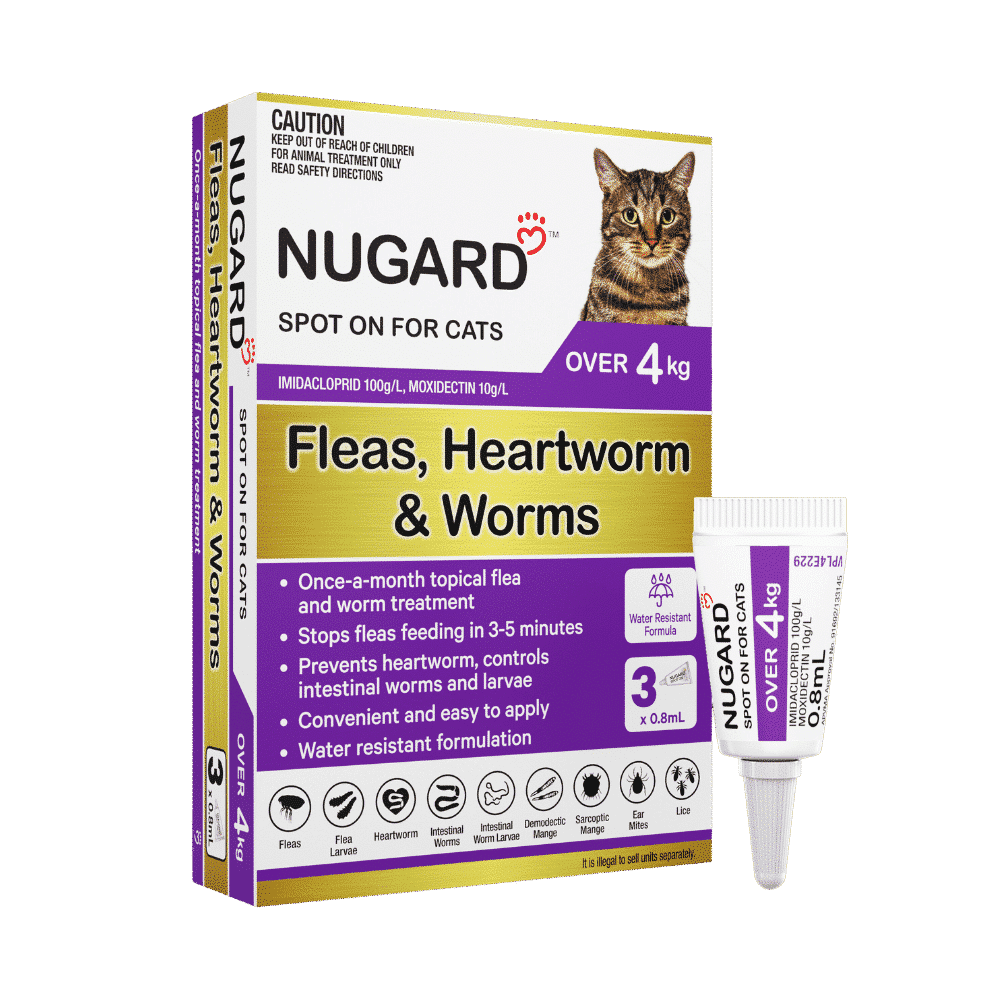 Nugard For Large Cats Over 4KG (Purple) 3 Pack