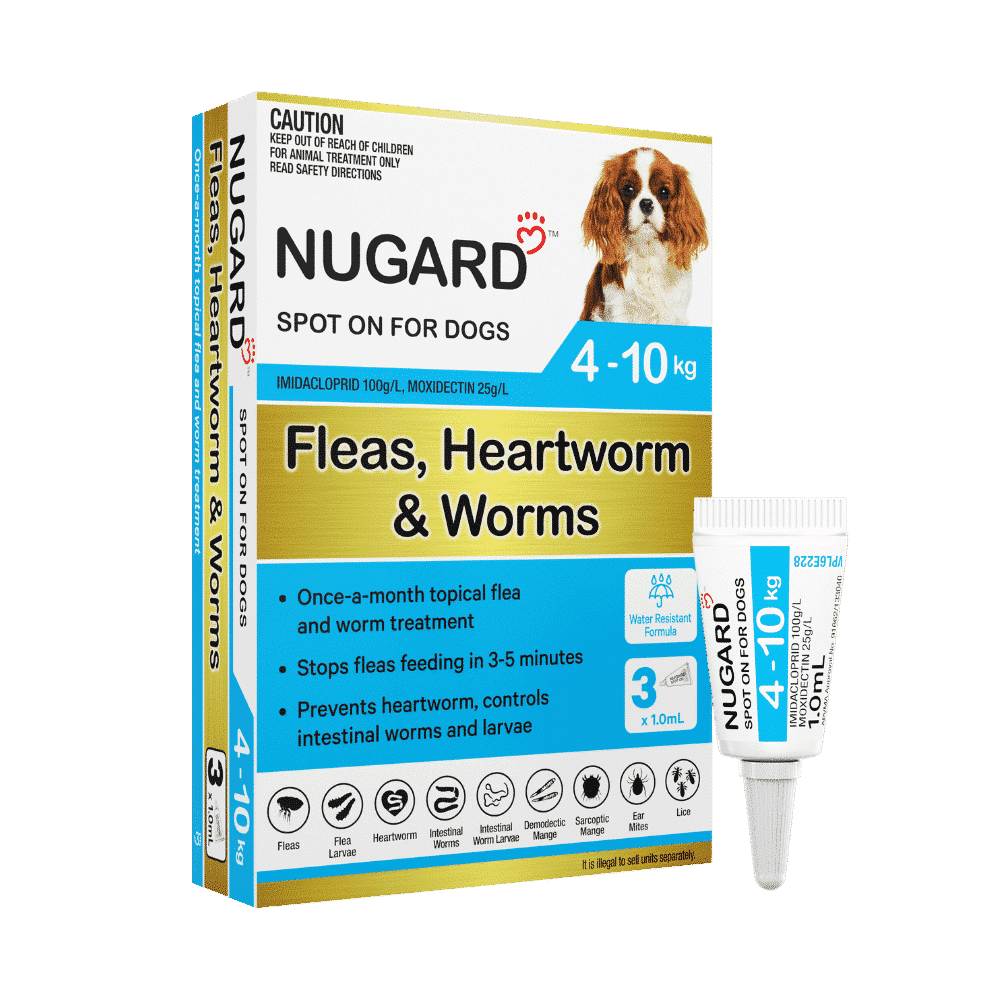 Nugard for Small Dogs 4-10kg (Aqua) 3 Pack