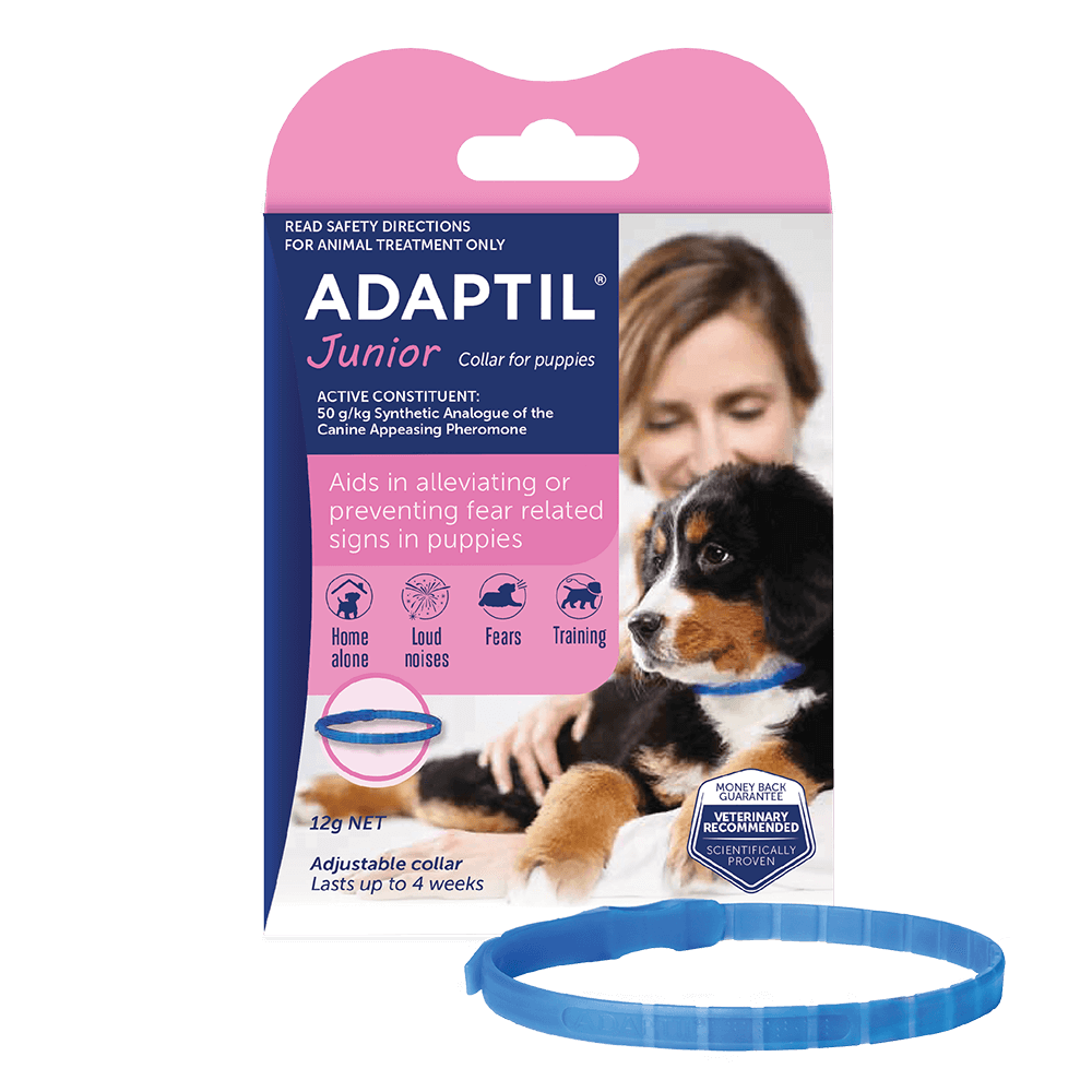 Adaptil Junior Collar - 45cm