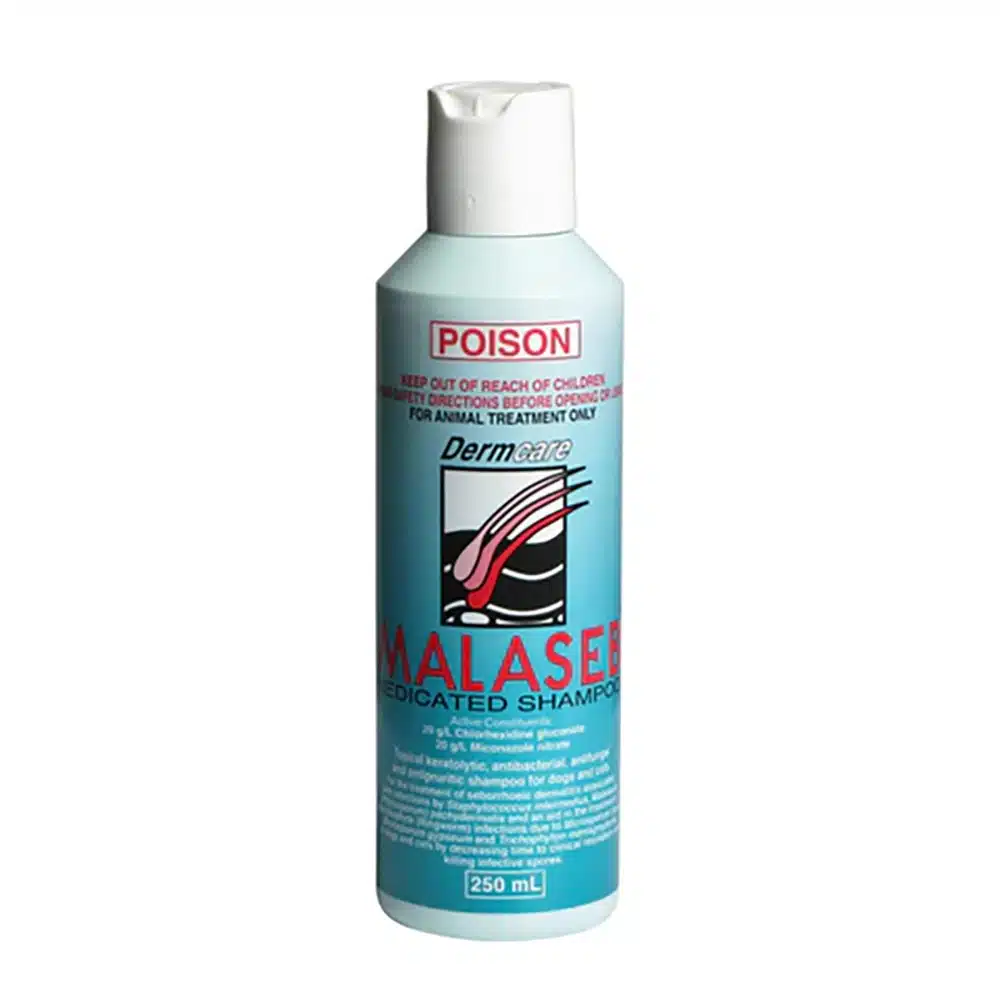 Dermcare Malaseb Medicated Shampoo For Dogs and Cats - 250ml, 500ml And 1L 250ml